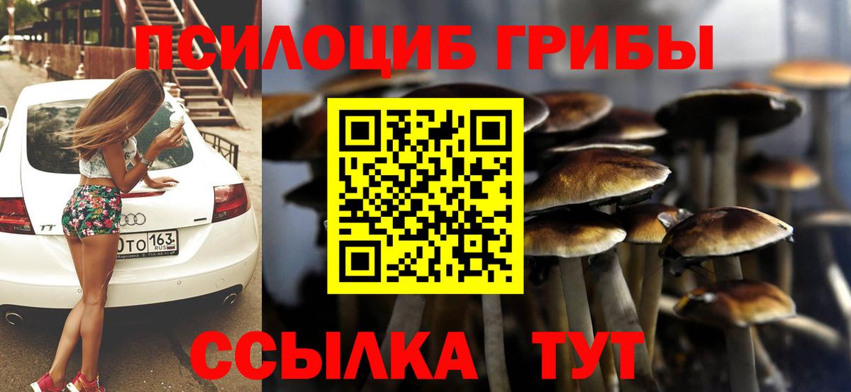 Галлюциногенные грибы GOLDEN TEACHER Ижевск