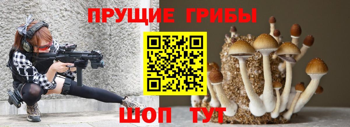 Ижевск  цена наркотик  Вход с VPN  Псилоцибиновые грибы мухоморы 